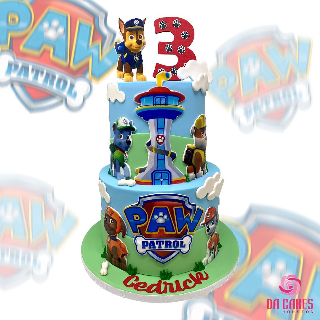 Paw Patrol Cake - 2 Tiers